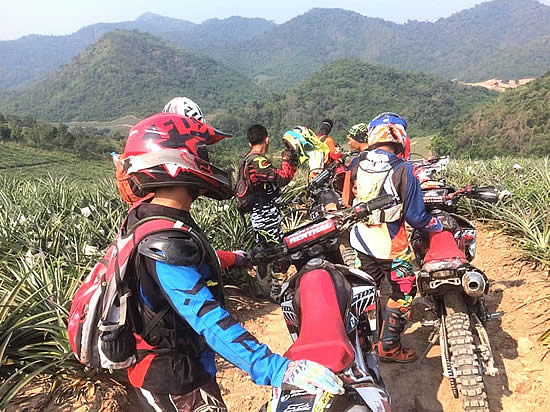 Day tours through perfect nature