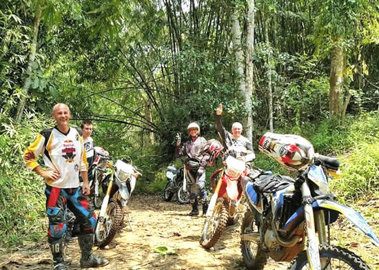 Tours through the jungle